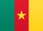 Cameroon flag