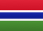 Gambia flag
