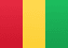 Guinea flag