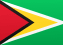 Guyana flag