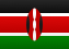 Kenya flag