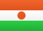 Niger flag