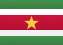 Suriname flag