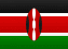 Kenya flag