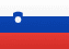 Slovenia flag