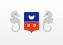 Mayotte flag